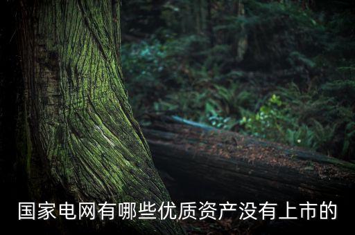 國(guó)家電網(wǎng)有哪些優(yōu)質(zhì)資產(chǎn)沒(méi)有上市的