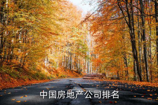 中國(guó)房地產(chǎn)公司排名