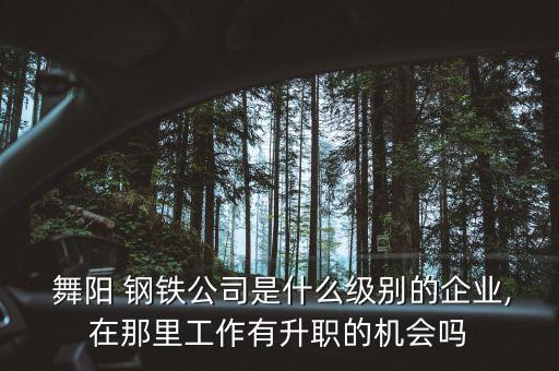  舞陽 鋼鐵公司是什么級別的企業(yè),在那里工作有升職的機(jī)會嗎