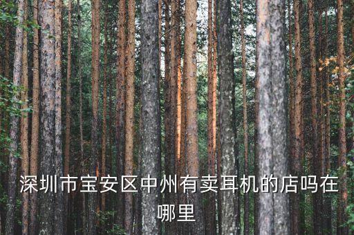  深圳市寶安區(qū)中州有賣耳機的店嗎在哪里
