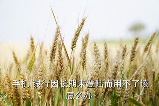  手機(jī) 銀行因長期未登陸而用不了該怎么辦