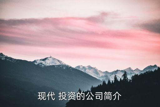 現(xiàn)代 投資的公司簡(jiǎn)介
