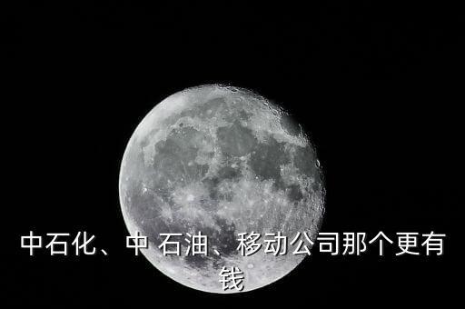 中石化、中 石油、移動公司那個更有錢