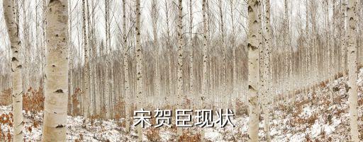 開封新大新公司董事長(zhǎng)宋賀臣電話