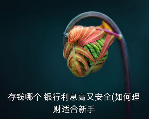 存錢(qián)哪個(gè) 銀行利息高又安全(如何理財(cái)適合新手