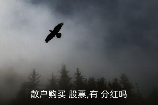 散戶購(gòu)買 股票,有 分紅嗎