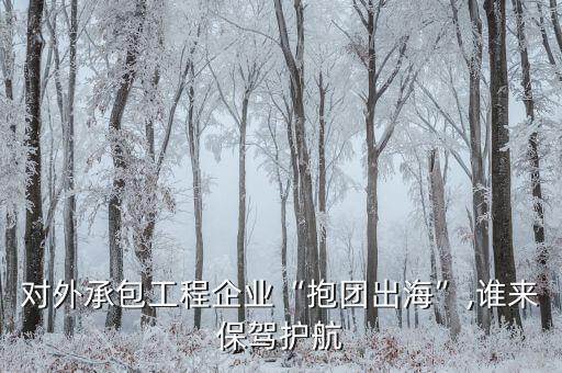 對(duì)外承包工程企業(yè)“抱團(tuán)出?！?誰(shuí)來(lái)保駕護(hù)航