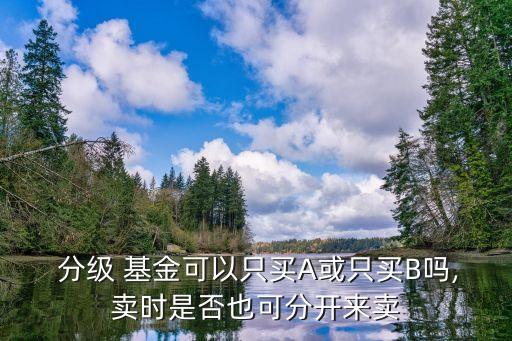  分級(jí) 基金可以只買A或只買B嗎,賣時(shí)是否也可分開(kāi)來(lái)賣