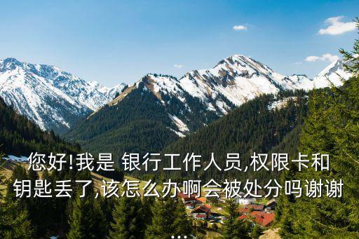 您好!我是 銀行工作人員,權限卡和鑰匙丟了,該怎么辦啊會被處分嗎謝謝...