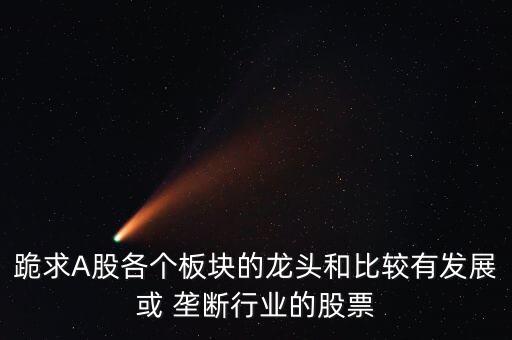 壟斷型上市公司,中國(guó)壟斷寡頭上市公司有哪些