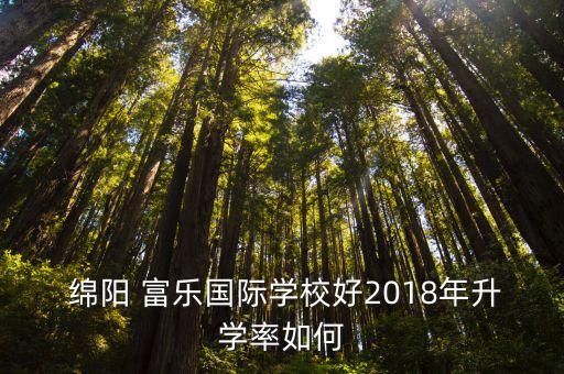  綿陽(yáng) 富樂(lè)國(guó)際學(xué)校好2018年升學(xué)率如何