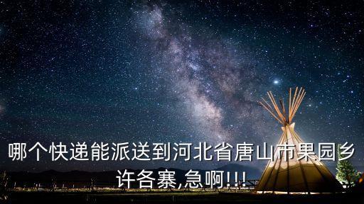 哪個(gè)快遞能派送到河北省唐山市果園鄉(xiāng)許各寨,急啊!!!