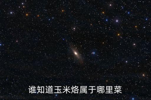 上海米盛化工材料,上?；げ牧吓l(fā)市場