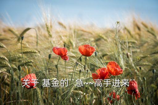 關(guān)于 基金的``急~~高手進來```