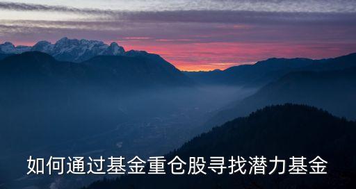 股票數字政通