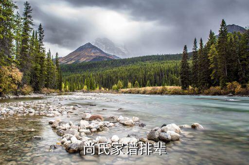 上海茂恒會(huì)計(jì)事務(wù)所,河南恒新會(huì)計(jì)事務(wù)所