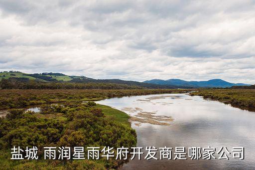 雨潤控股集團(tuán)投資中心,江蘇雨潤控股集團(tuán)有限公司