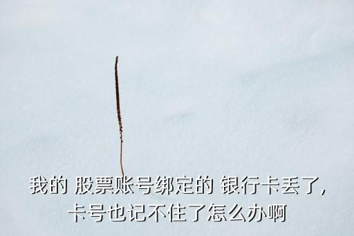 我的 股票賬號綁定的 銀行卡丟了,卡號也記不住了怎么辦啊