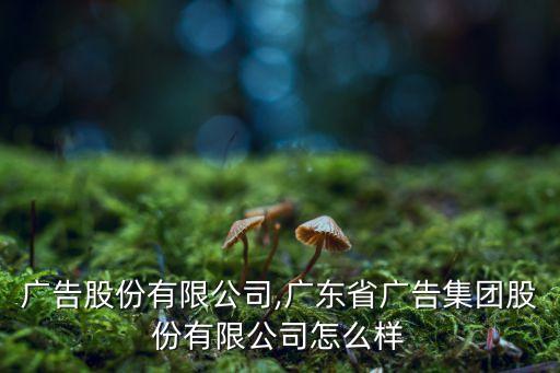 達一廣告股份有限公司,廣東省廣告集團股份有限公司怎么樣