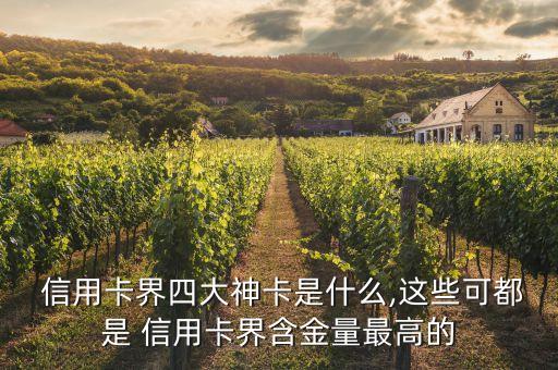 浦發(fā)銀行信用卡機(jī)場(chǎng)貴賓