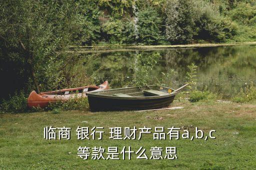  臨商 銀行 理財(cái)產(chǎn)品有a,b,c等款是什么意思