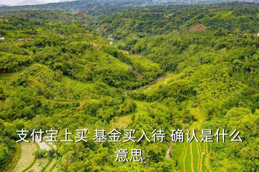 基金待確認(rèn),支付寶基金待確認(rèn)