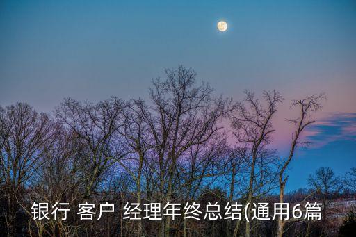 銀行 客戶 經(jīng)理年終總結(通用6篇