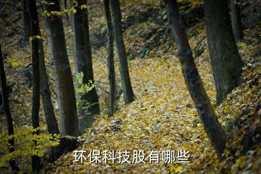  環(huán)?？萍脊捎心男? class=