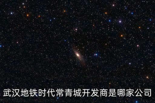 武漢地鐵時代常青城開發(fā)商是哪家公司