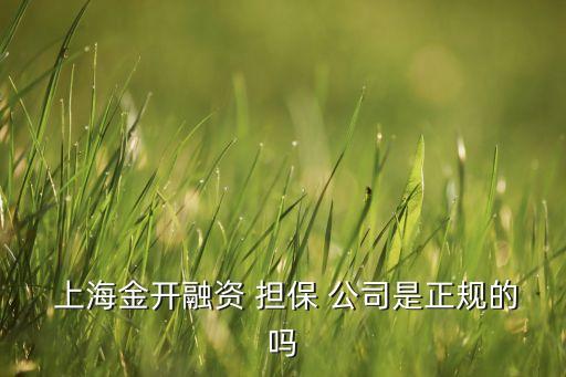  上海金開融資 擔保 公司是正規(guī)的嗎