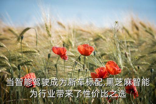 當(dāng)智能駕駛成為新車標(biāo)配,黑芝麻智能為行業(yè)帶來了性價(jià)比之選