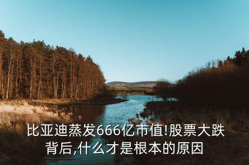 比亞迪股份有限公司財(cái)務(wù)報(bào)表分析