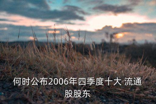 何時(shí)公布2006年四季度十大 流通股股東