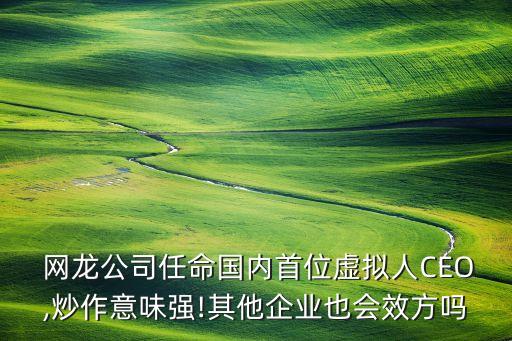  網(wǎng)龍公司任命國內(nèi)首位虛擬人CEO,炒作意味強!其他企業(yè)也會效方嗎