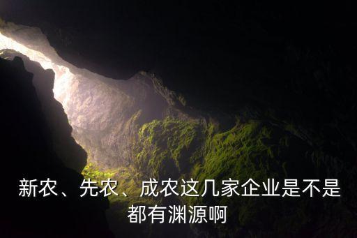  新農(nóng)、先農(nóng)、成農(nóng)這幾家企業(yè)是不是都有淵源啊