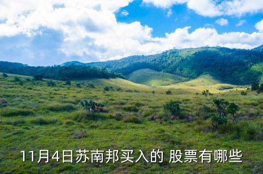 11月4日蘇南邦買(mǎi)入的 股票有哪些