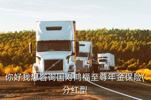你好我想咨詢(xún)國(guó)壽鴻福至尊年金保險(xiǎn)(分紅型