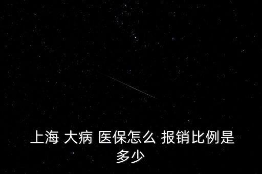  上海 大病 醫(yī)保怎么 報(bào)銷比例是多少