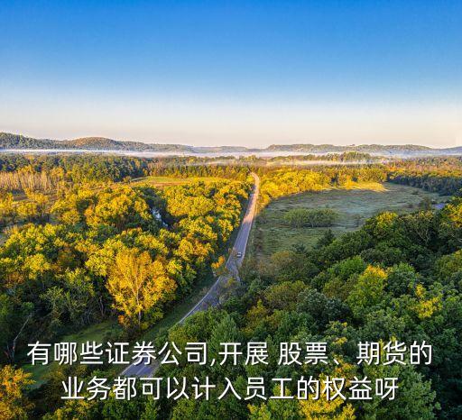 有哪些證券公司,開(kāi)展 股票、期貨的業(yè)務(wù)都可以計(jì)入員工的權(quán)益呀