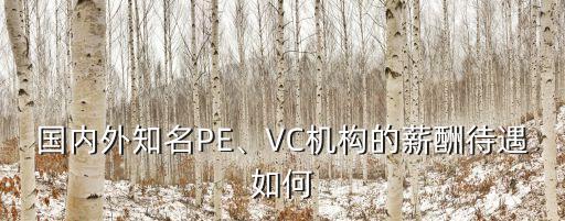 國內(nèi)外知名PE、VC機構(gòu)的薪酬待遇如何