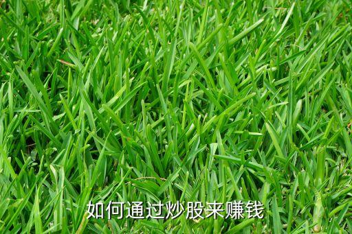 如何通過(guò)炒股來(lái)賺錢(qián)