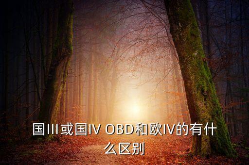國(guó)Ⅲ或國(guó)IV OBD和歐IV的有什么區(qū)別