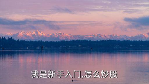我是新手入門,怎么炒股