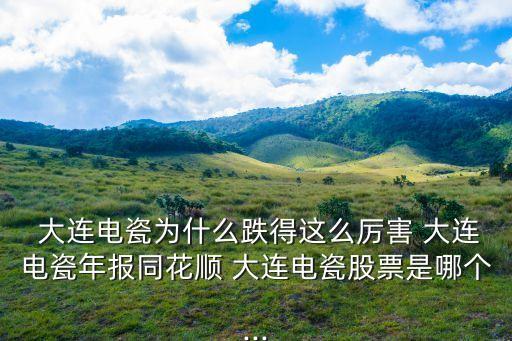 大連昊?？萍脊煞萦邢薰?大連華陽新材料科技股份有限公司