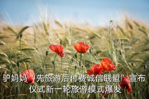 驢媽媽“先旅游后付費誠信聯盟”宣布 儀式新一輪旅游模式爆發(fā)