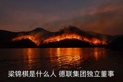 梁錦棋是什么人 德聯(lián)集團(tuán)獨立董事