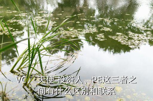 VC、 天使 投資人、PE這三者之間有什么區(qū)別和聯(lián)系