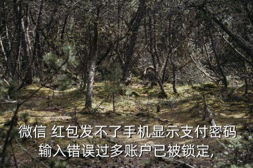  微信 紅包發(fā)不了手機(jī)顯示支付密碼輸入錯(cuò)誤過(guò)多賬戶已被鎖定,