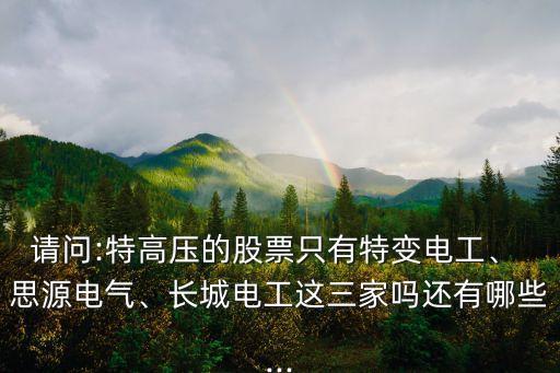請問:特高壓的股票只有特變電工、 思源電氣、長城電工這三家嗎還有哪些...