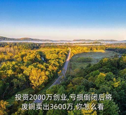 投資2000萬(wàn)創(chuàng)業(yè),虧損倒閉后將廢銅賣(mài)出3600萬(wàn),你怎么看